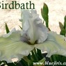 Birdbath3.jpg